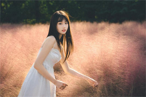 上海新茶网：如何提升上海的农业生产效率